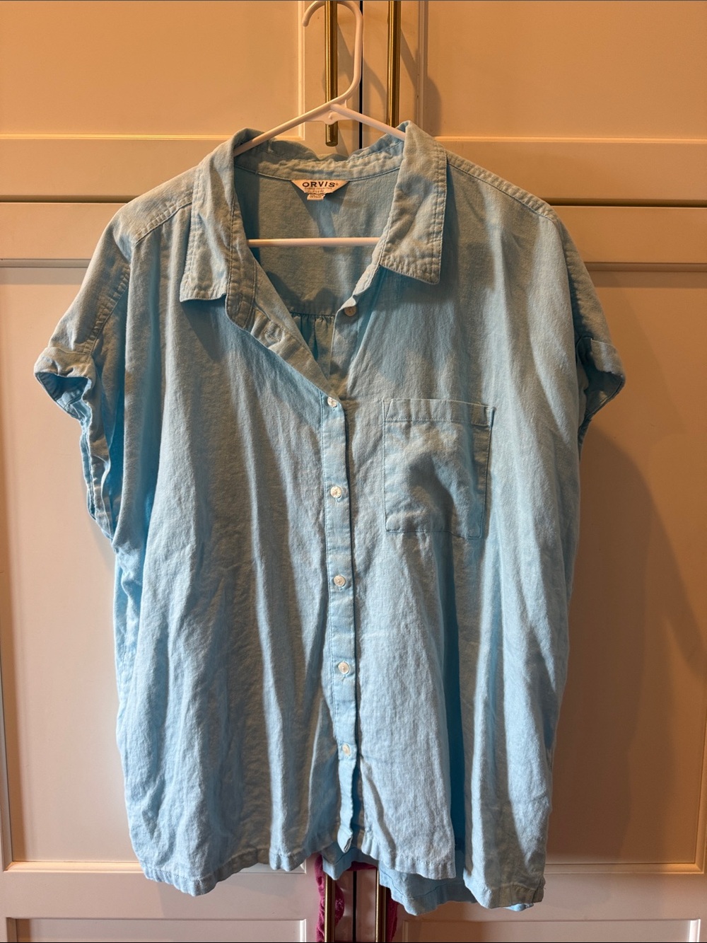 Orvis Pale Blue Short-Sleeve Button-Down Shirt